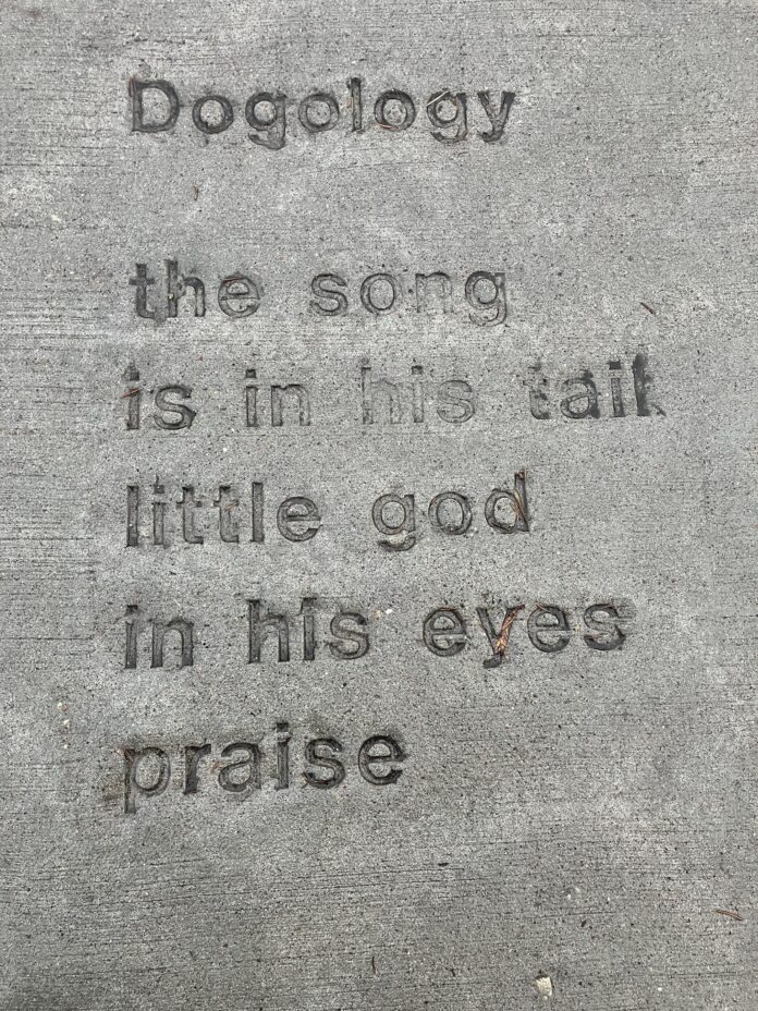 A sidewalk square that is part of the City of Appleton's Sidewalk Poetry Program.