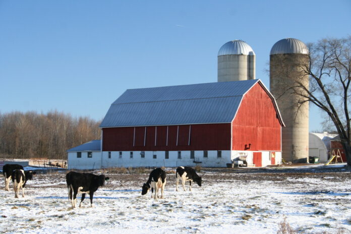 A dairy farm in Wisconsin