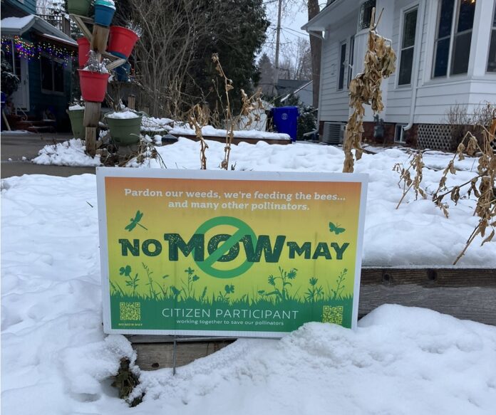 The city of Appleton will revisit its 'No Mow May' effort following retraction of the study that prompted it.