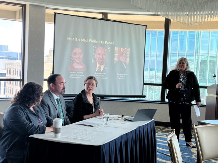 Senator Rachael Cabral-Guevara with Representatives Lisa Subeck (D-Madison) and Clint Moses (R-Menomonie) on the Walmart Health Care panel during their legislative day this past Wednesday.