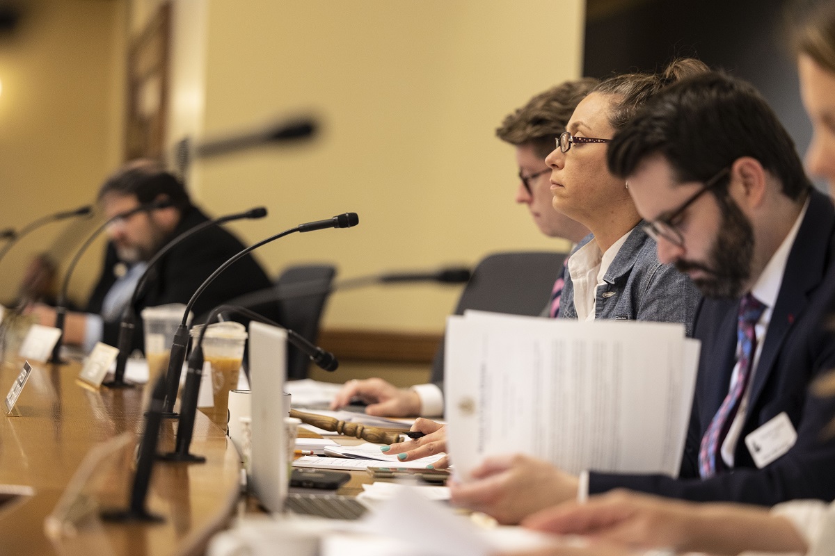 Sen. Rachael Cabral-Guevara chairing the Senate Committee on Health public hearing.