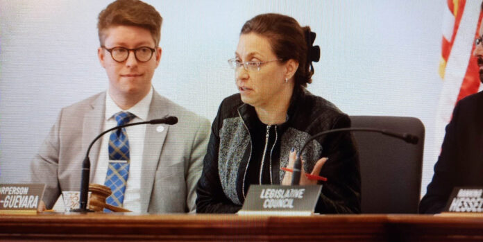 Sen. Rachael Cabral-Guevara and Committee Clerk Michael Moscicke during the Senate Committee on Health's Public Hearing