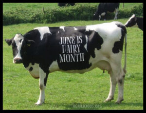 June is National Dairy Month!