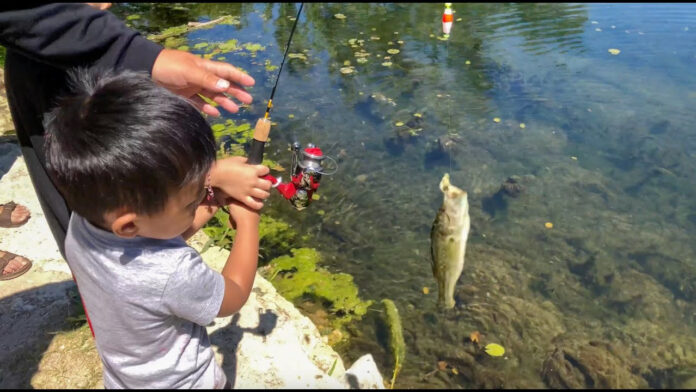 Over the weekend of June 3rd and 4th. get access to the great Wisconsin outdoors without state park admission fees, fishing licenses or trail passes.