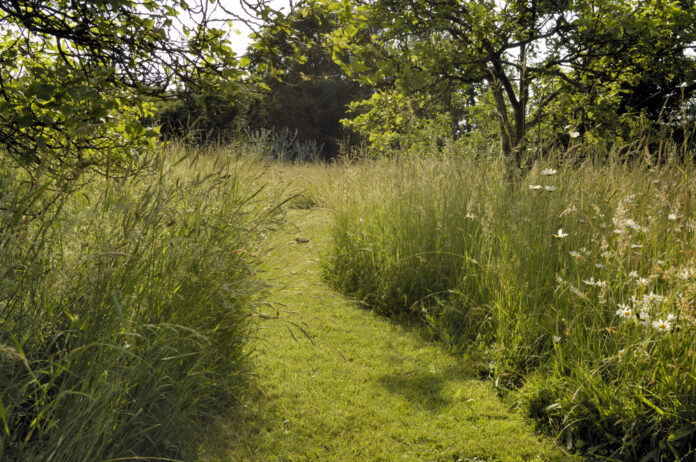 Appleton Alderman Sheri Hartzheim prefers a mowed grass pathway, rather than asphalt, through Vosters Park.