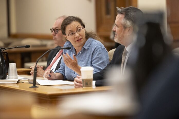 Wisconsin Sen. Rachael Cabral-Guevara Senator testified on Assembly Bill 386 - the Middle Class Tax Cut.