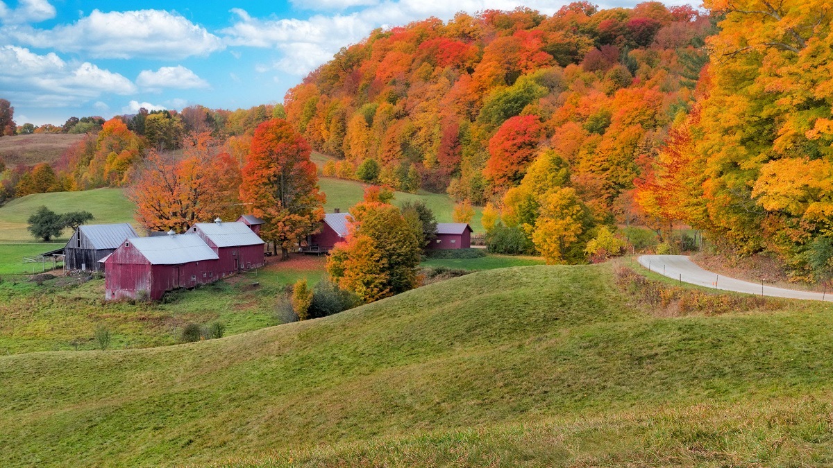 Happy First Day of Fall Tomorrow!