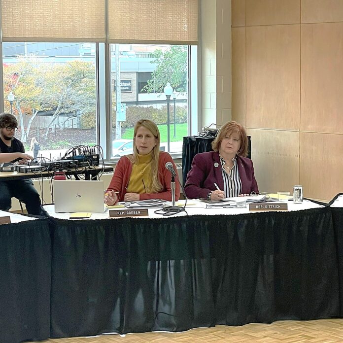 The Task Force on Human Trafficking held a public hearing at the University of Wisconsin.