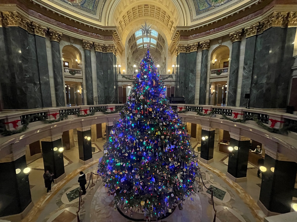 The Wisconsin 2023 Capitol Christmas Tree is lit!