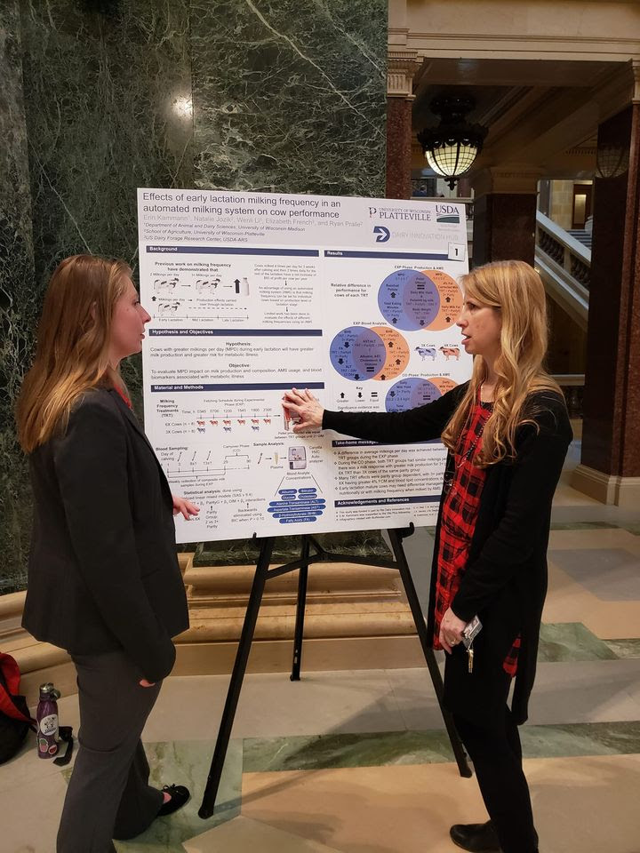 The Dairy Innovation Hub hosted an informational research poster session this week on the first floor Rotunda to highlight select projects funded by the initiative at UW-Madison, UW-Platteville, and UW-River Falls.