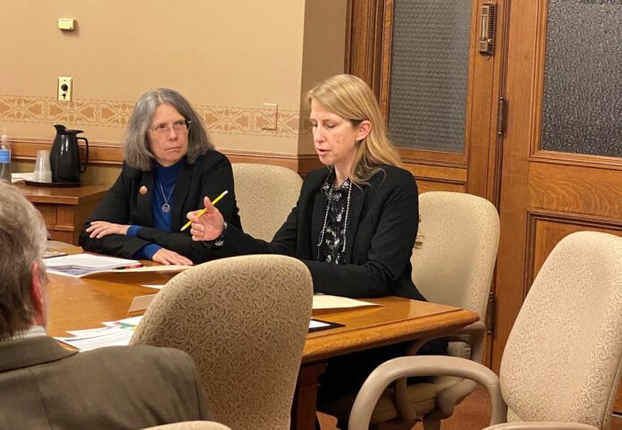 Wisconsin State Rep. Joy Goeben testifies on AB 1035, her bill to improve the community approach to 4K and child care.