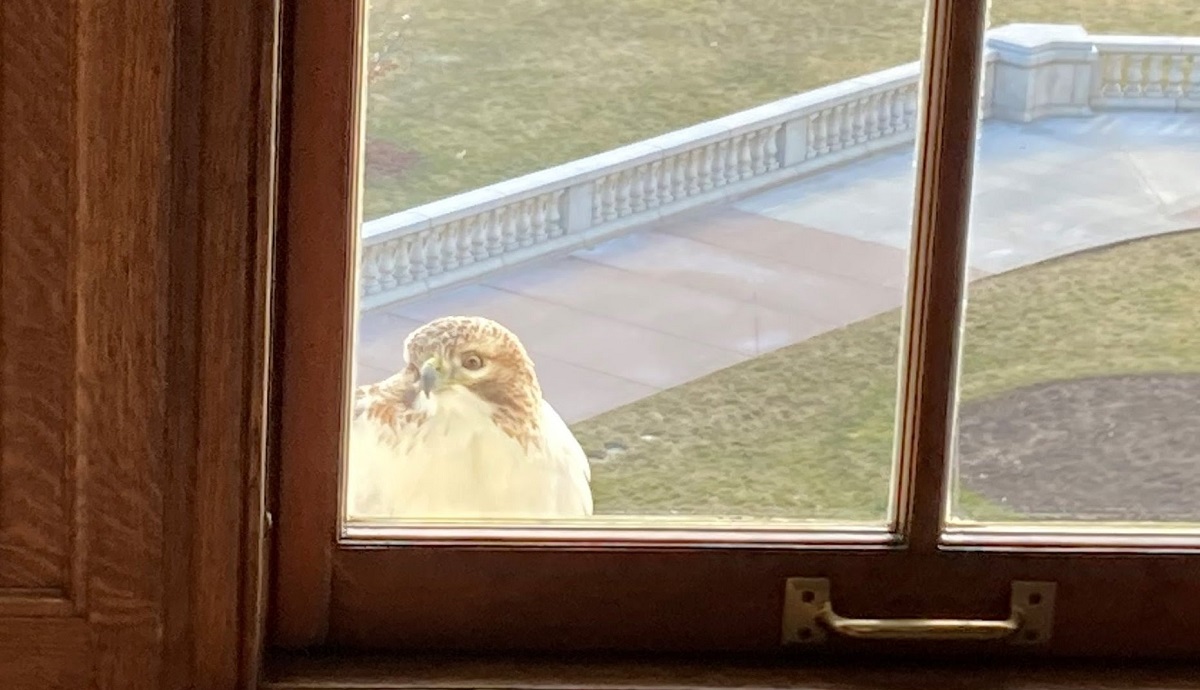 Wisconsin State Rep. Dave Murphy had an unexpected visitor at the office!