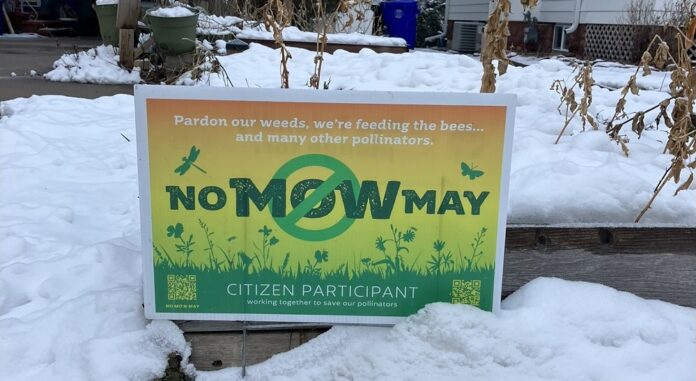 Appleton needs to move from No Mow May -- which causes negative consequences -- to a policy that would work better to support pollinators.