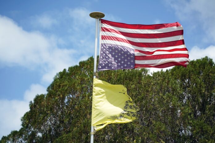 The U.S. Flag Code says the flag is not to be inverted “except as a signal of dire distress in instances of extreme danger to life or property.” The vulnerability of our election system is such an instance.