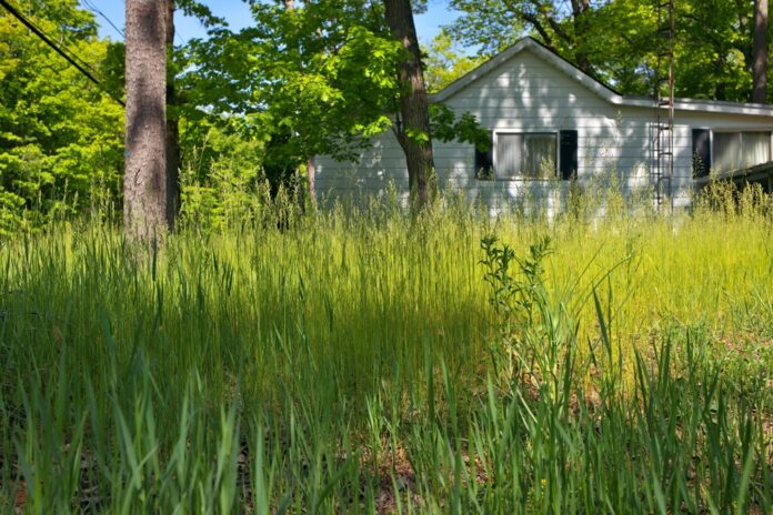 After numerous warnings, an Appleton homeowner finally cut his high weeds/grass, and now hopes the city will waive the $160 fee he was assessed.