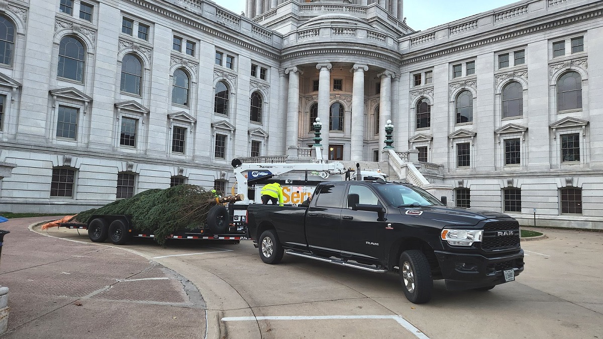 This year’s Wisconsin Capitol Christmas Tree is a 30-foot Balsam fir donated by Rick Burke from Rhinelander.