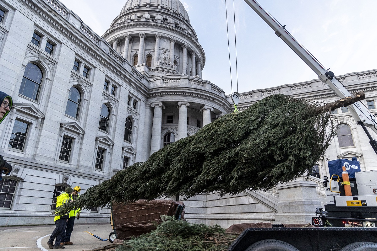 Earlier this week, the tree was delivered to the Wisconsin State Capitol. The came from Rhinelander.