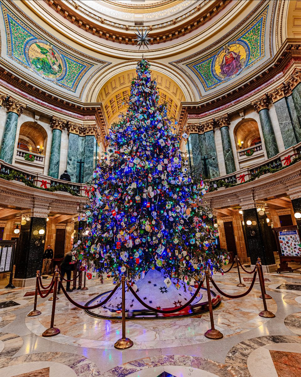 Come down to Madison and see the Capitol Christmas tree!