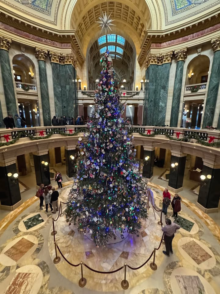 The Capitol Christmas tree is lit!