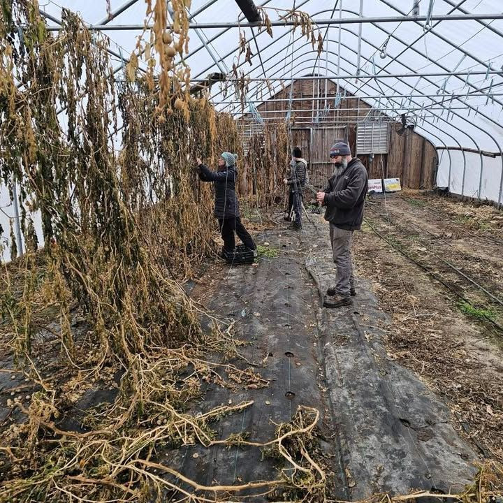 Wisconsin State Sen. Rachael Cabral-Guevara attended DC Farm for Vets.