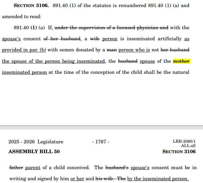 Wisconsin Gov. Tony Evers' budget bill strikes the word “mother” in at least 30 places. 