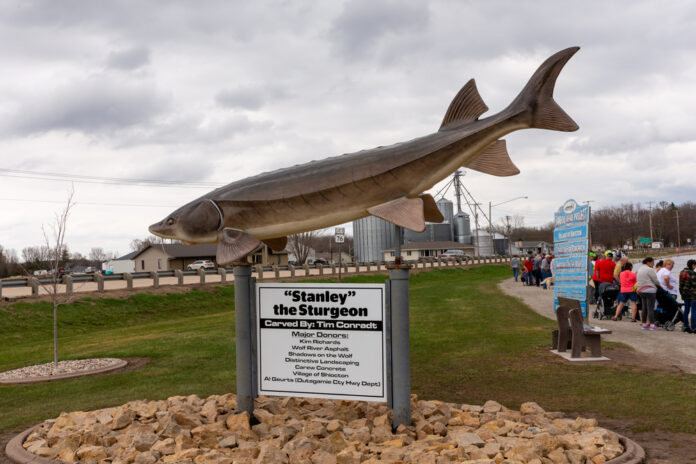 Congressman Tony Wied's SPEAR Act would prohibit U.S. Fish and Wildlife Service from listing Wisconsin lake sturgeon as endangered or threatened.