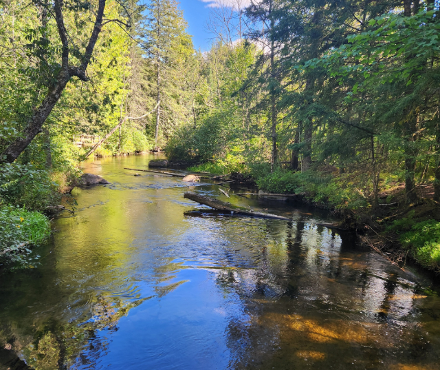 “Early Fall in Oconto.” – Submitted by Verchelle in De Pere