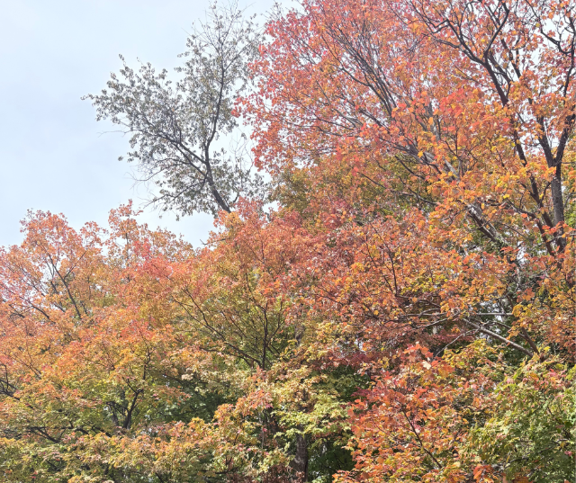 “Just raking it all in” – Submitted by Joe in Dyckesville.