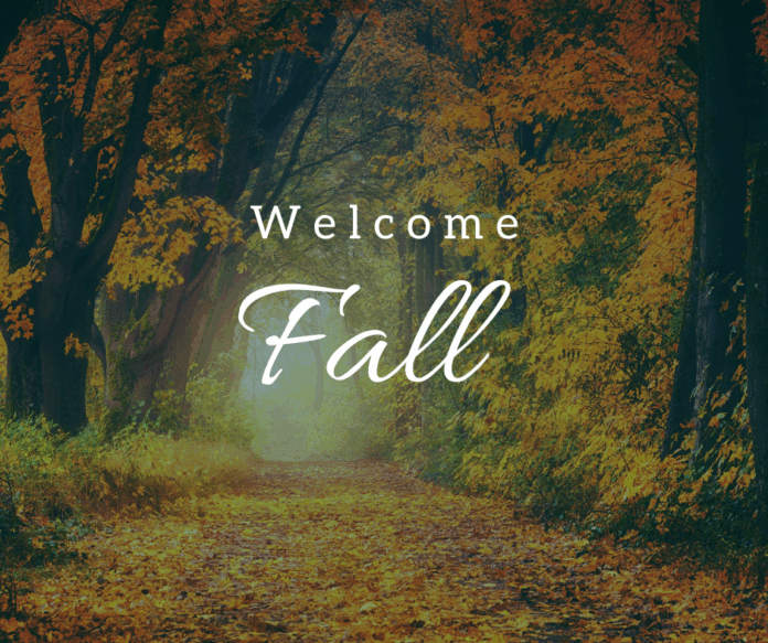 Wisconsin State Sen. Rachael Cabral-Guevara attended a state legislative exchange conference on health care. It was a valuable opportunity to connect with fellow nurses, medical providers, and legislators from other states.