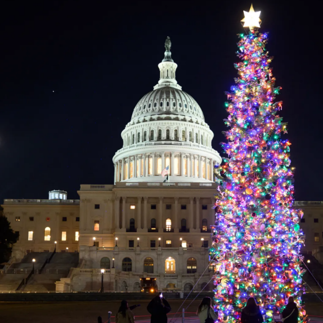Congressman Tony Wied wishes you a Merry Christmas and a tree‑lightful New Year!