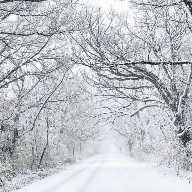 "Walking in a Winter Wonderland.” – Submitted by Jane from Clintonville