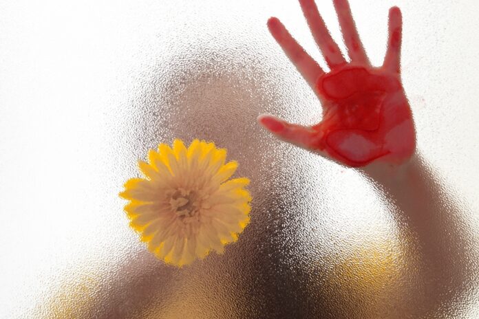 Sunday, January 11, volunteers from Damascus Road Project, in partnership with the Oshkosh Police Department, will be gathering at Opera House Square from 1-3pm to hold signs for the annual “Stop the Traffick: Make Some Noise Human Trafficking Awareness Day Rally.”