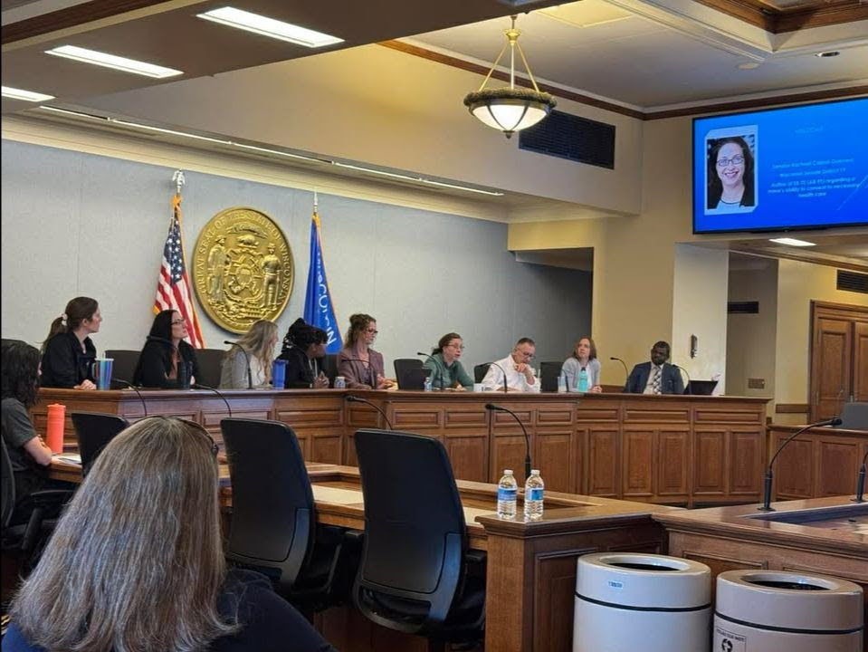 Panel on Wisconsin Association for Homeless and Runaway Services.