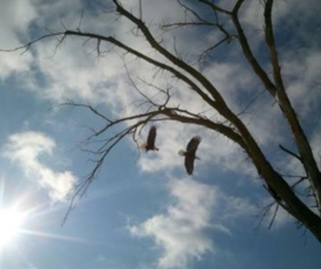 “Feelin’ Fly.” – Submitted by Jeffery from Waupaca