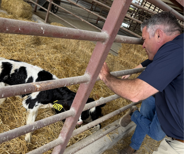 Wisconsin 
Congressman Tony Wied visited Hornstead Dairy in Brillion and met with Amber Horn-Leiterman and members of the Horn family that operate a multi-generational dairy farm that was established in 1863.