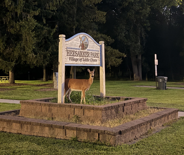 “Feeling fawn-d of this place.” — Submitted by Robert from Little Chute.