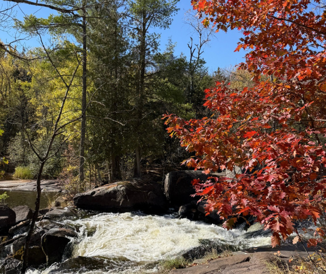 “Fall-ing for Goodman Park.” — Submitted by Barb from Crivitz.