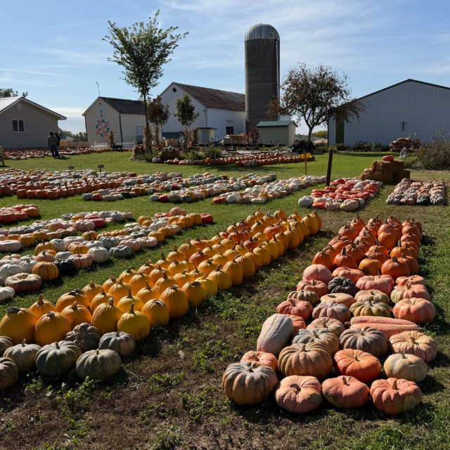 “Gourd times at Polly’s.” — Submitted by Taylor from Kaukauna.
